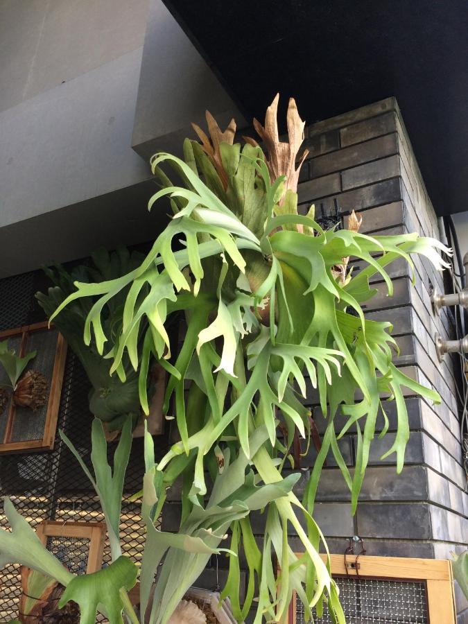 パポア ホテル 高雄市 エクステリア 写真